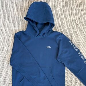 The North Face Hoodie - Half Dome Unisex S Small Blue